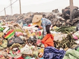 Cách phân biệt các loại rác thải sinh hoạt hiện nay. Vì sao cần phân loại?