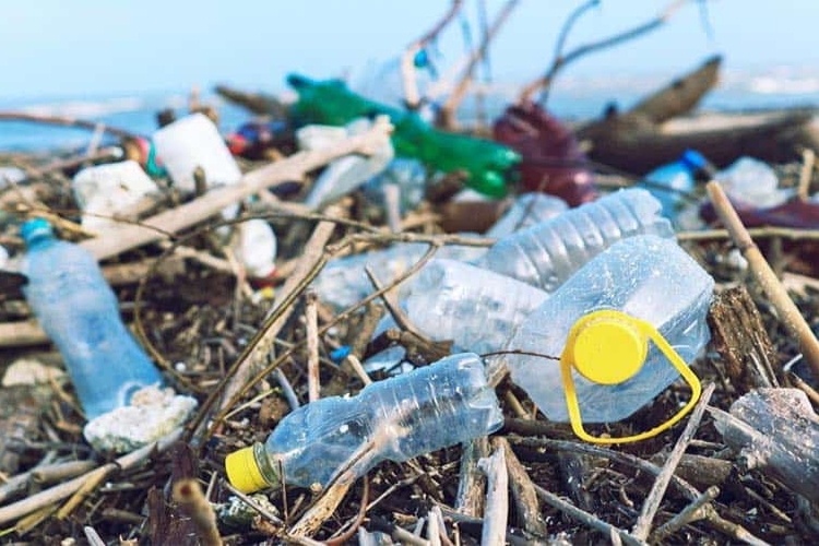 Rác thải nhựa có thể gây ra tác hại gì tới môi trường và con người?
